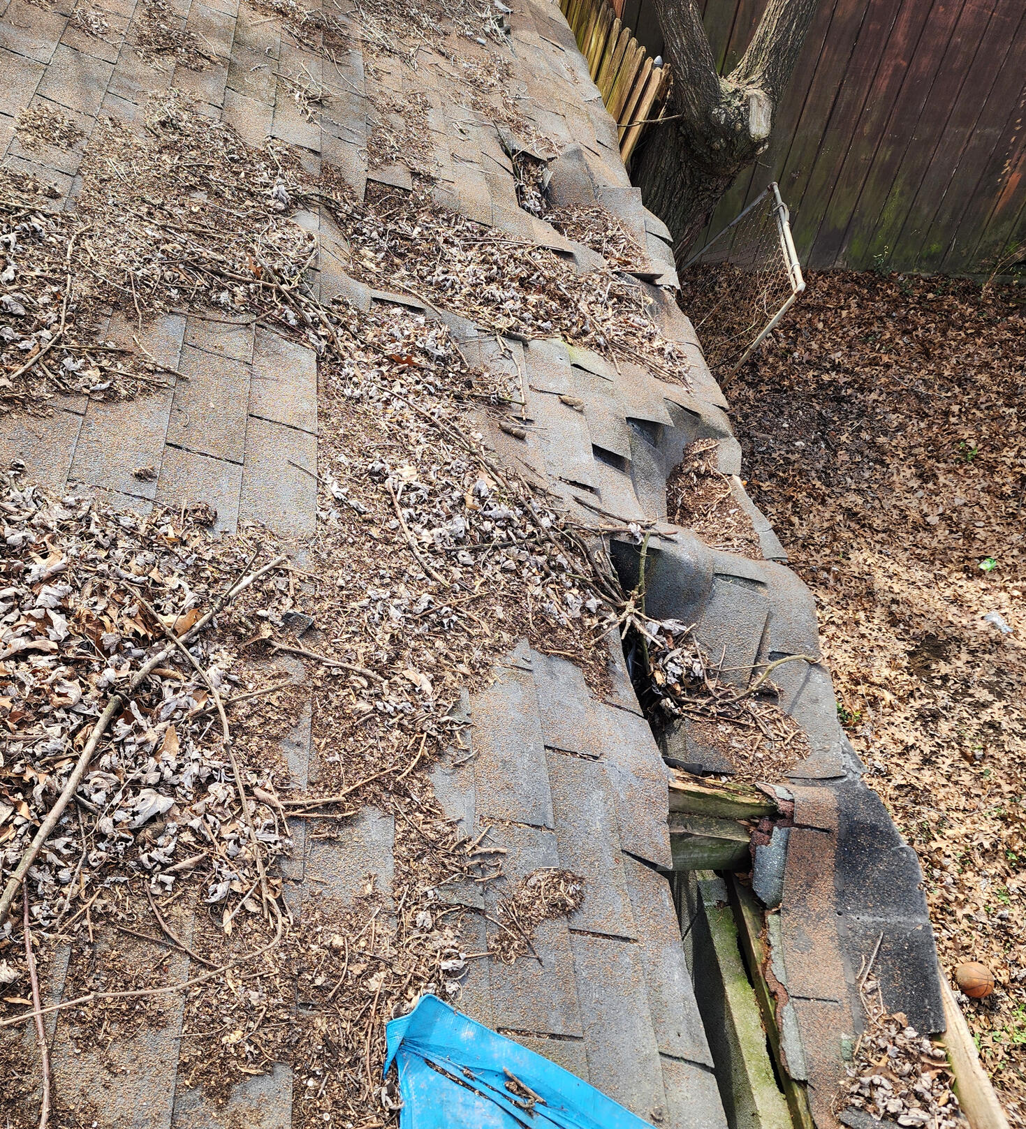 Roofing Contractor in Louisville,KY Roofing Company in Louisville, KY