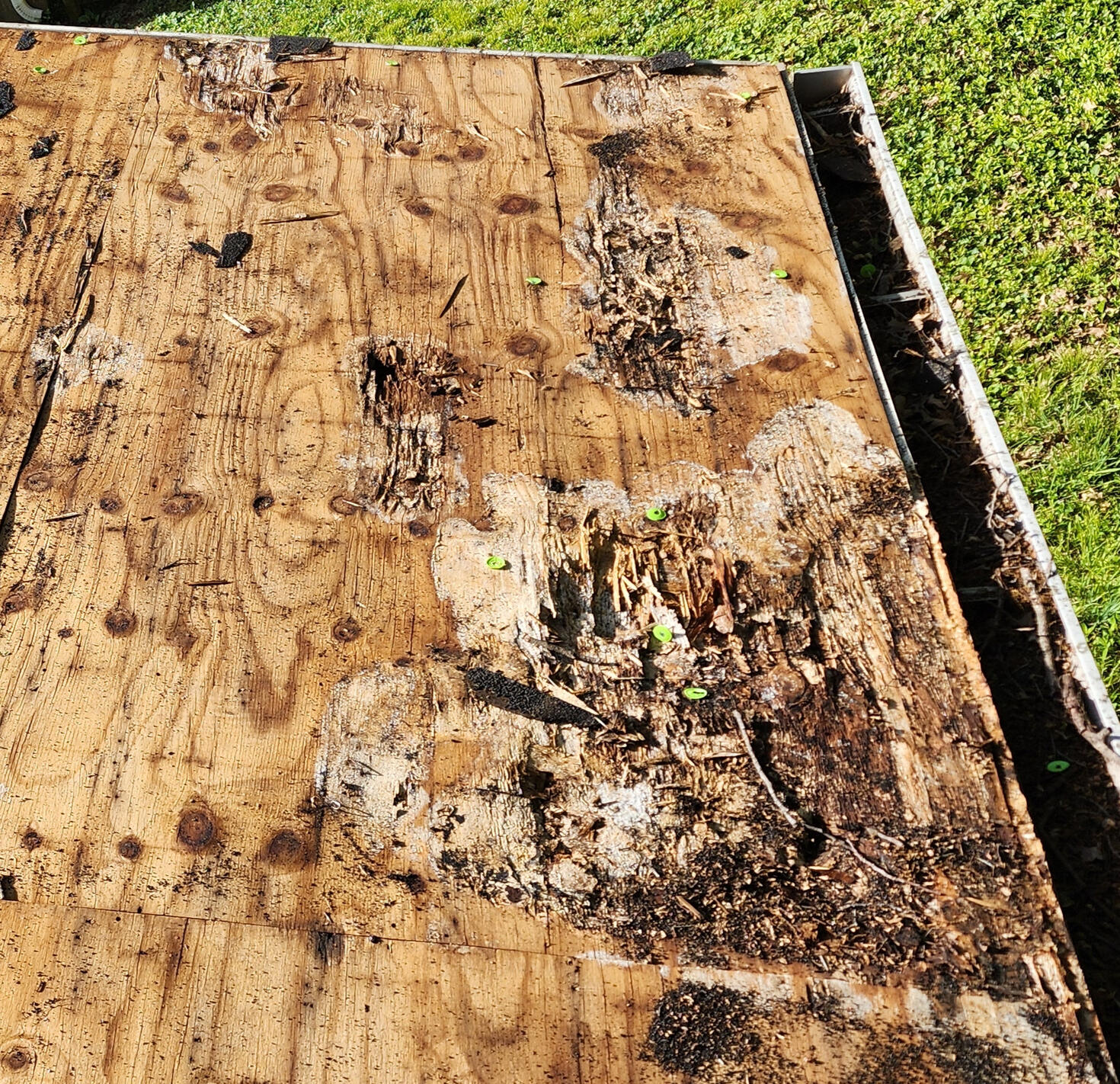 Roofing Contractor in Louisville,KY Roofing Company in Louisville, KY
