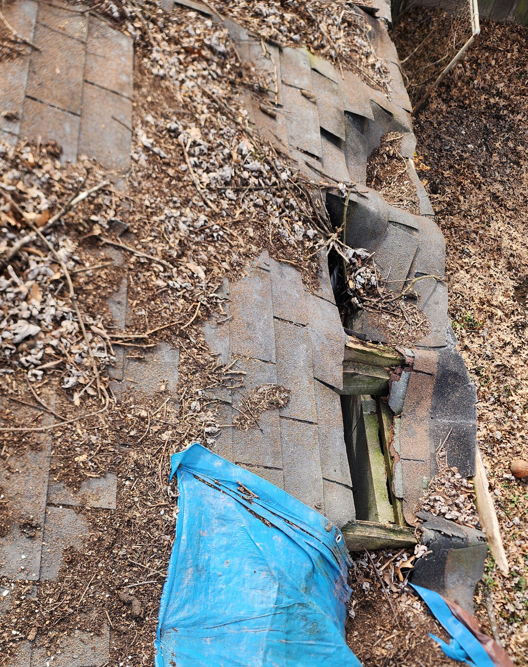 roof repair near me roof repair near me