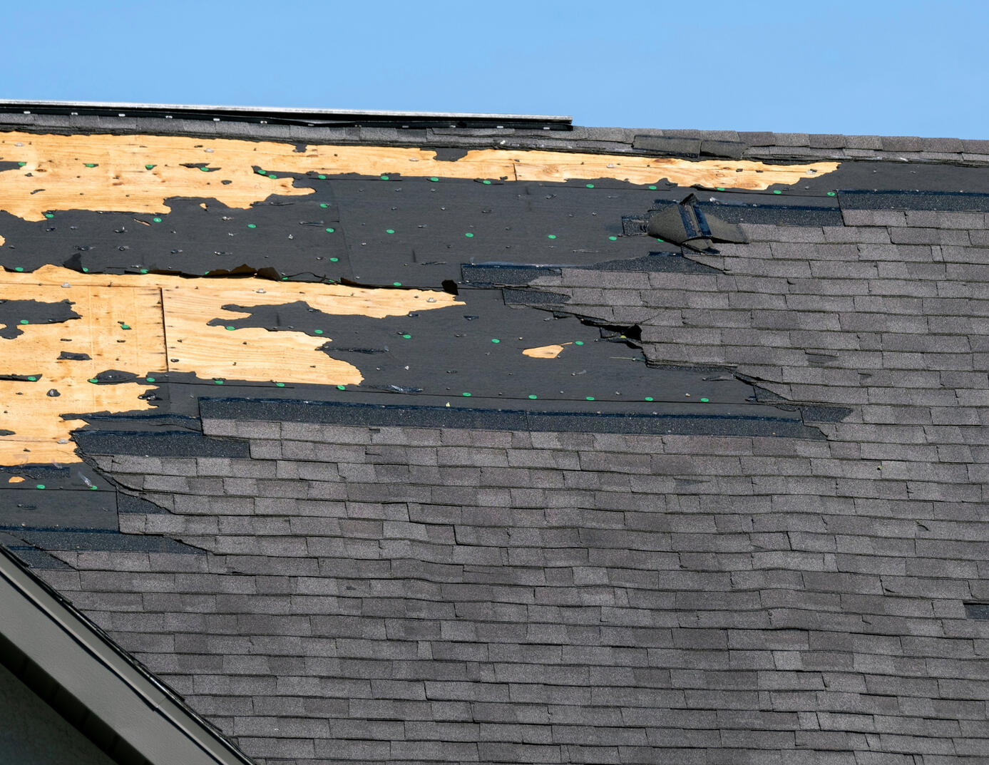 hail damage repair near me Hail damaged roof louisville