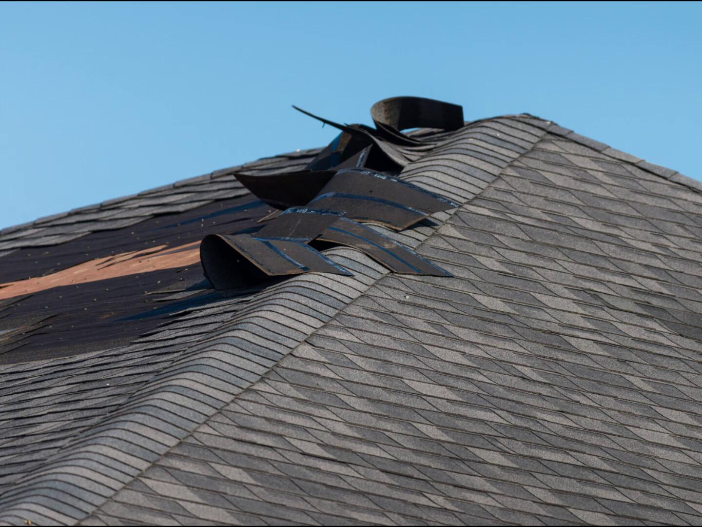 RHINOMAX ROOFING COMPANY LLC