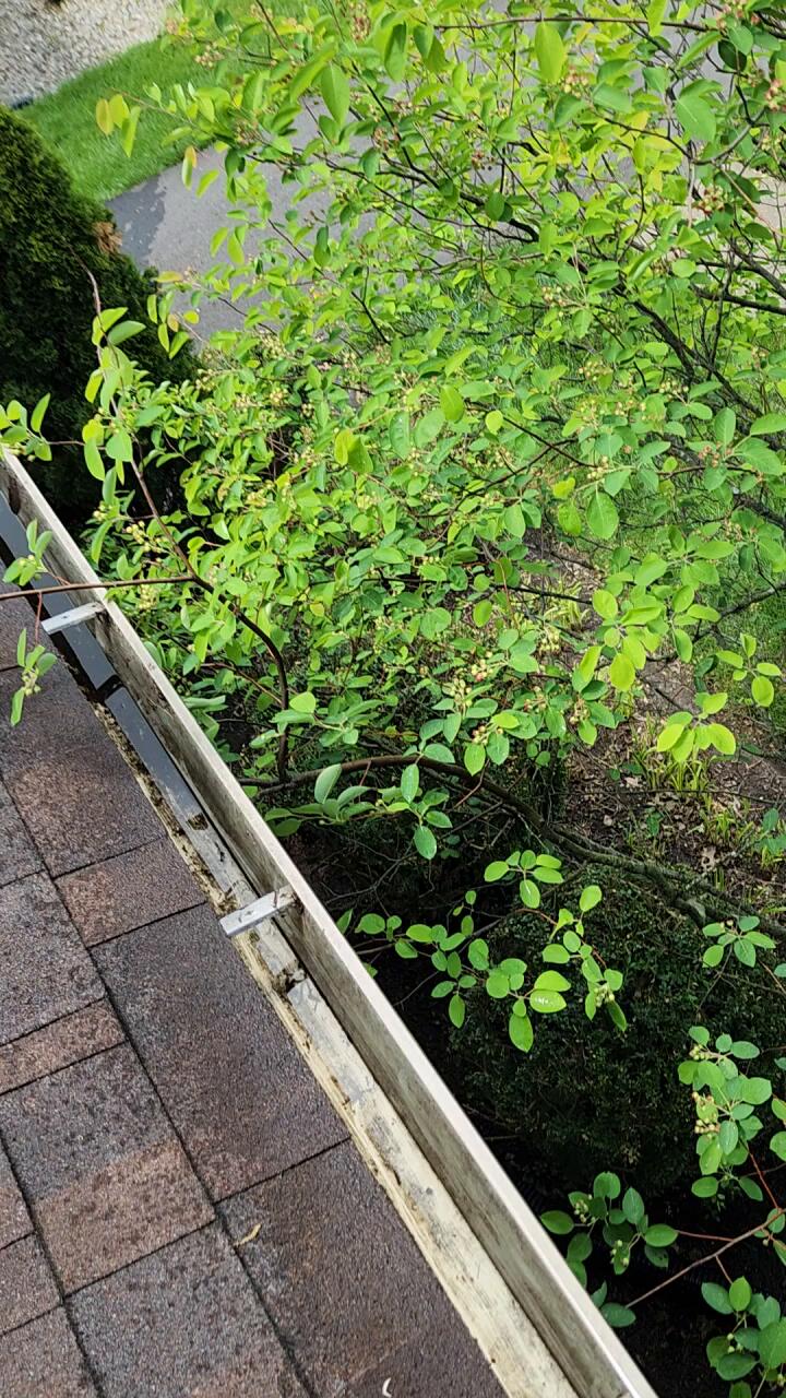 RHINOMAX ROOFING CONTRACTOR LLC