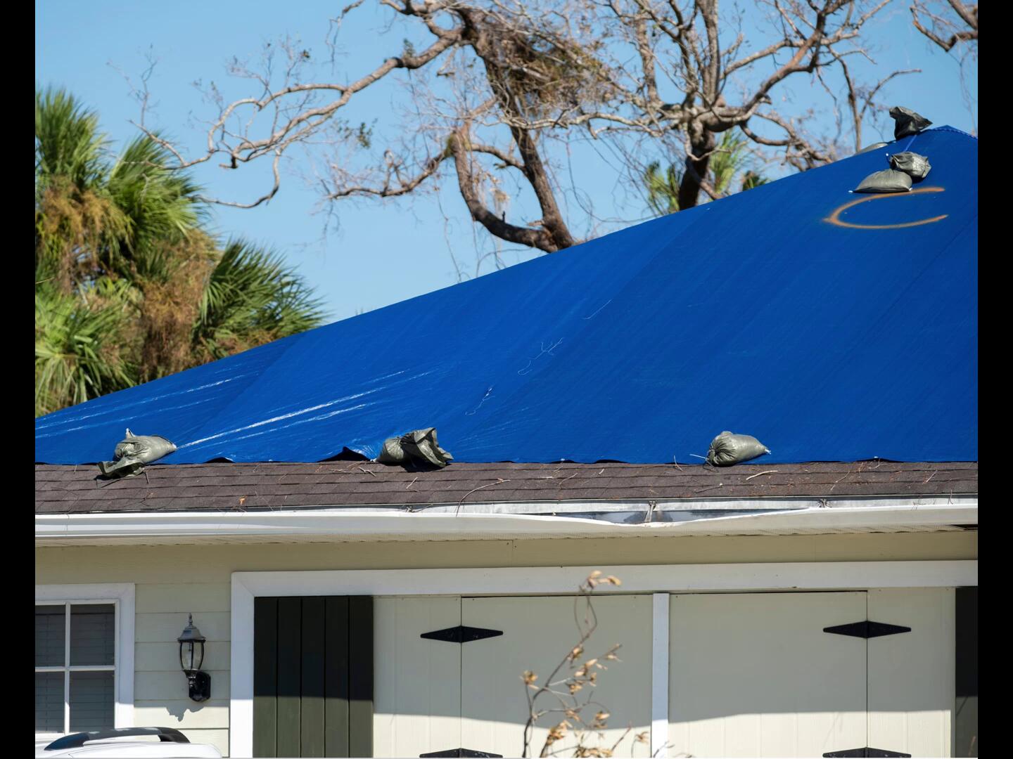 RHINOMAX ROOFING CONTRACTOR LLC